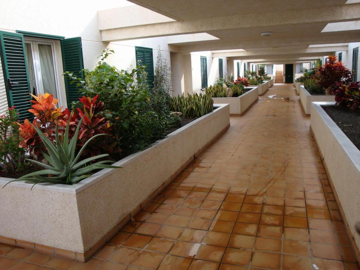 Apartamento Con Jardin Y Piscina En El Balancon Apartment El Medano  Exterior photo